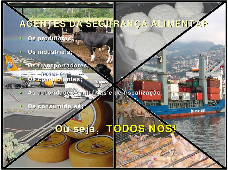 transportadores; Os comerciantes; As