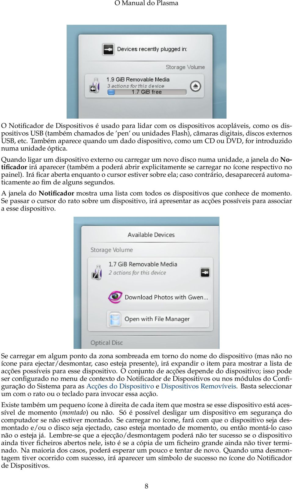 Quando ligar um dispositivo externo ou carregar um novo disco numa unidade, a janela do Notificador irá aparecer (também a poderá abrir explicitamente se carregar no ícone respectivo no painel).