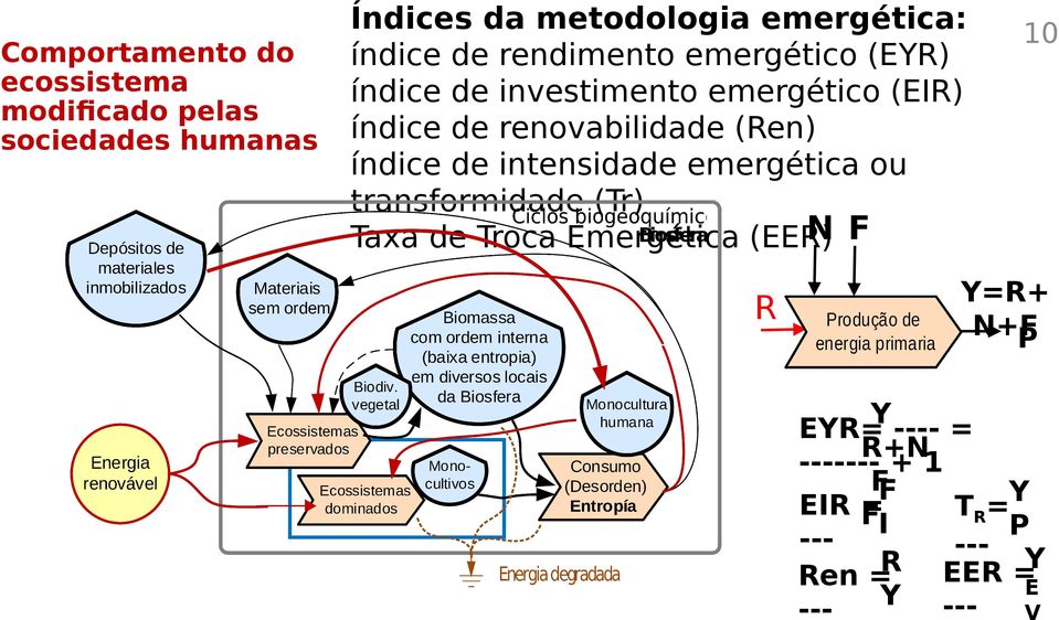 de renovabilidade (Ren) índice de intensidade emergética ou transformidade (Tr) N F Taxa de Troca