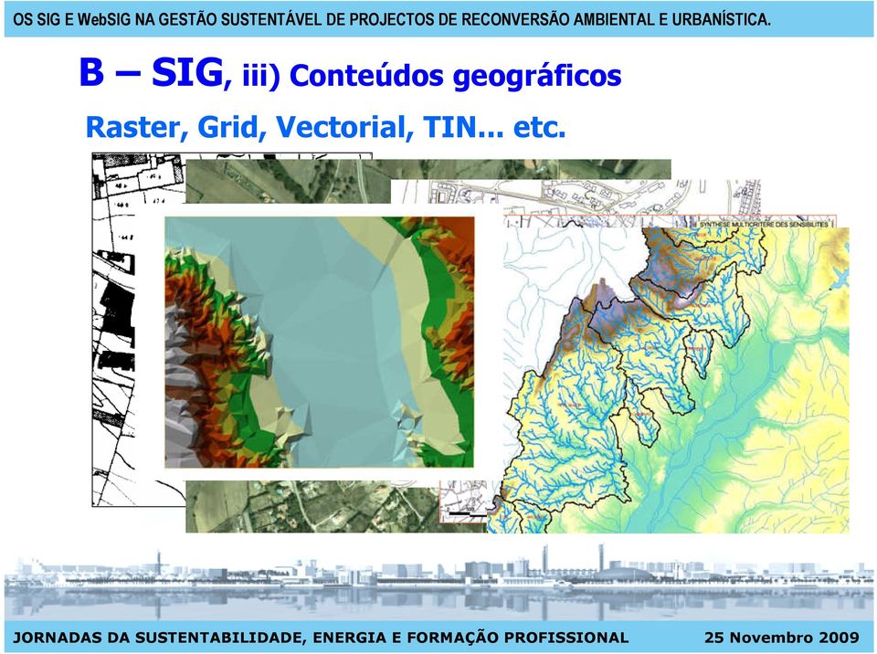 Grid, Vectorial, TIN.