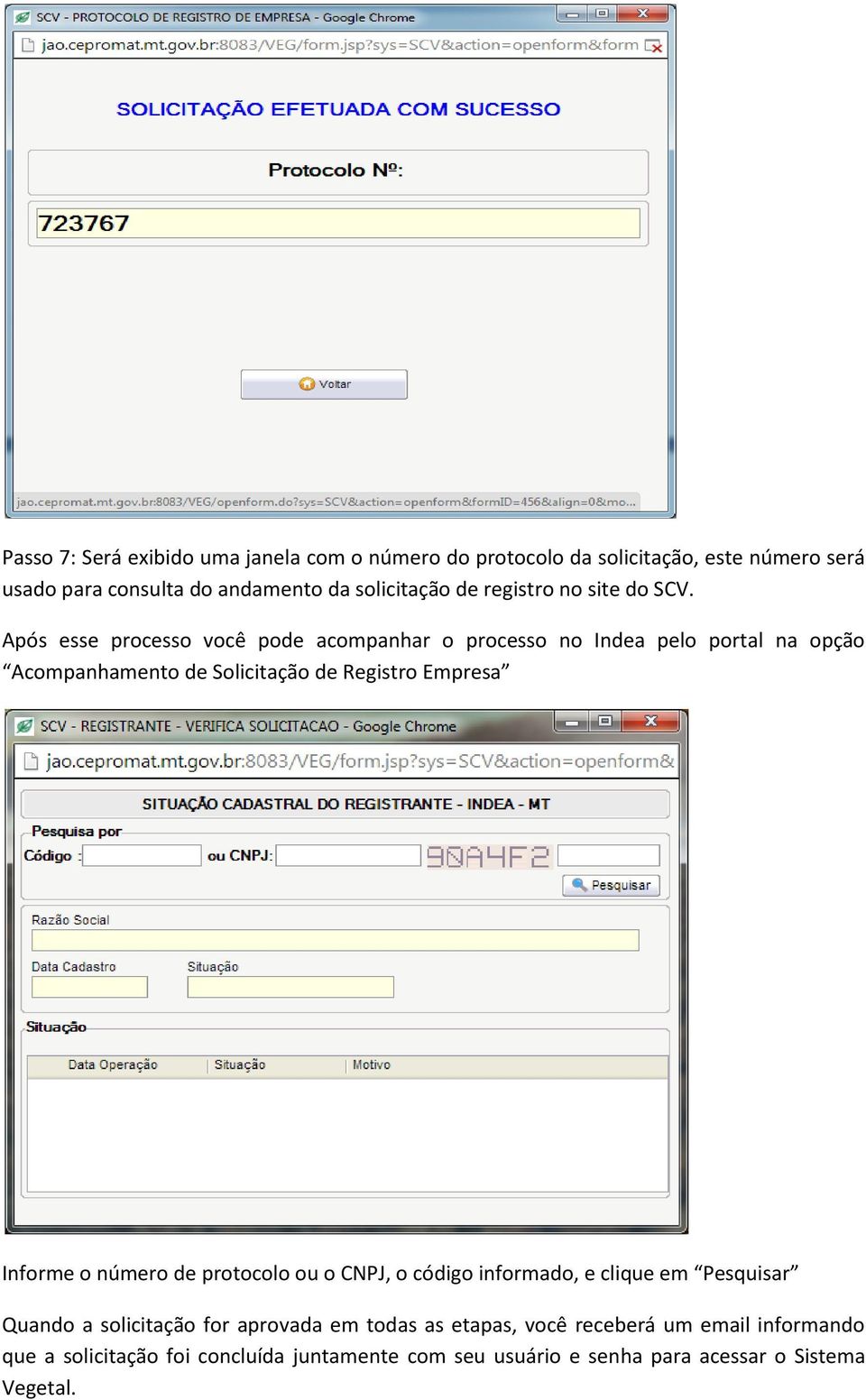 Após esse processo você pode acompanhar o processo no Indea pelo portal na opção Acompanhamento de Solicitação de Registro Empresa Informe o