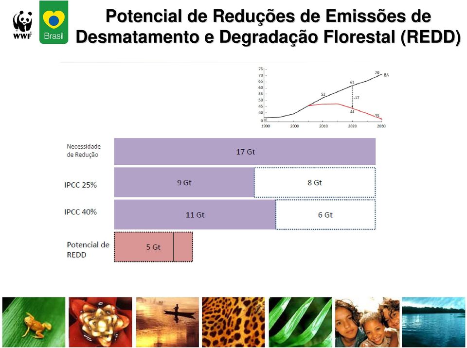 Desmatamento e