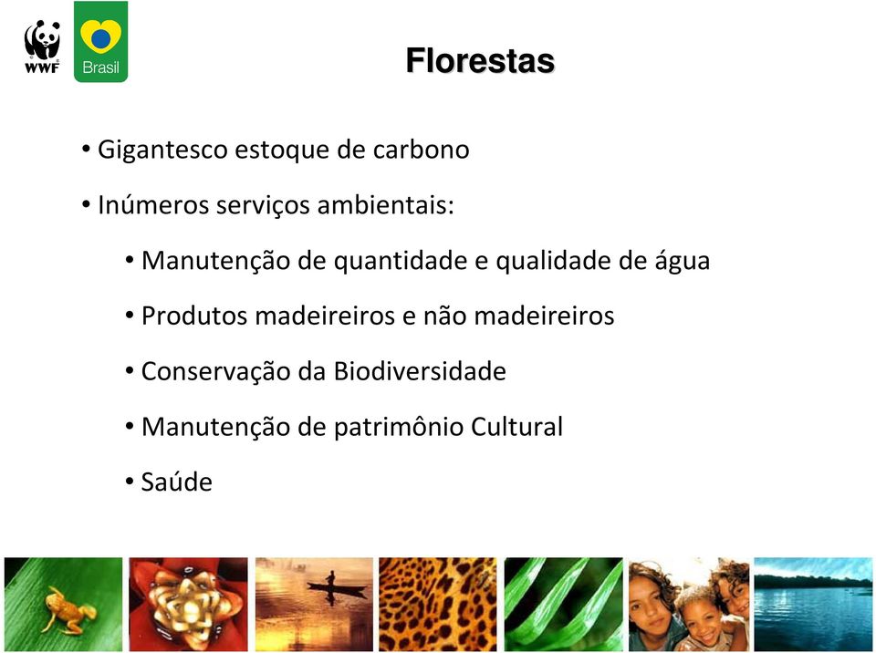 qualidade de água Produtos madeireiros e não