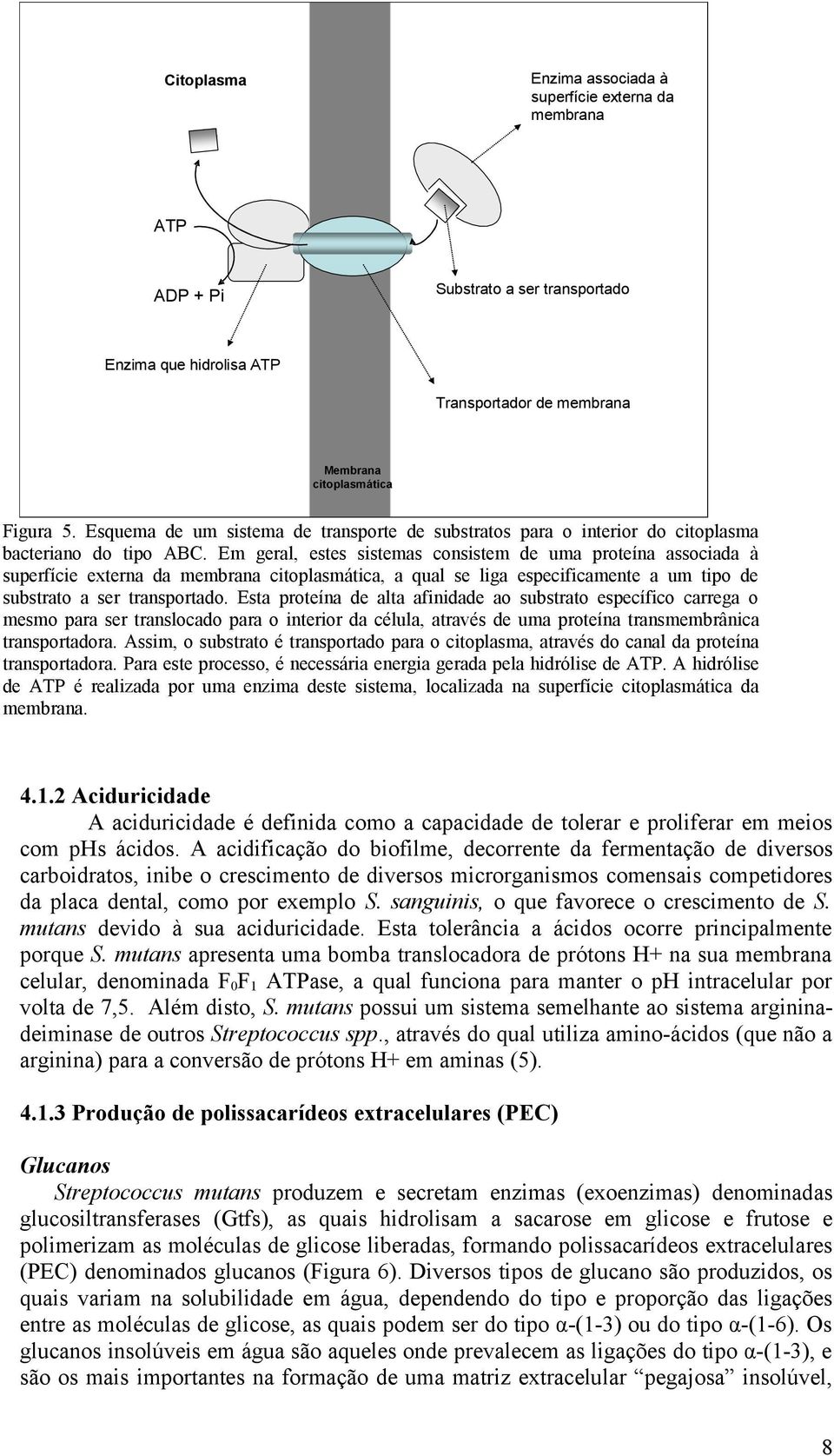 Em geral, estes sistemas consistem de uma proteína associada à superfície externa da membrana citoplasmática, a qual se liga especificamente a um tipo de substrato a ser transportado.