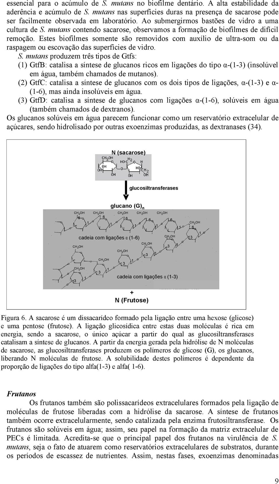 mutans contendo sacarose, observamos a formação de biofilmes de difícil remoção. Estes biofilmes somente são removidos com auxílio de ultra-som ou da raspagem ou escovação das superfícies de vidro. S.