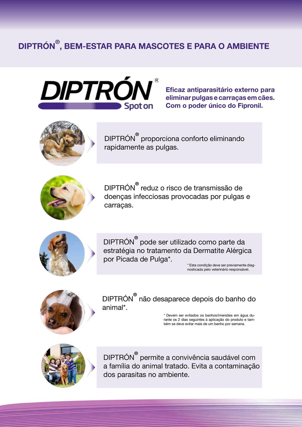 DIPTRÓN pode ser utilizado como parte da estratégia no tratamento da Dermatite Alérgica por Picada de Pulga*. * Esta condição deve ser previamente diagnosticada pelo veterinário responsável.