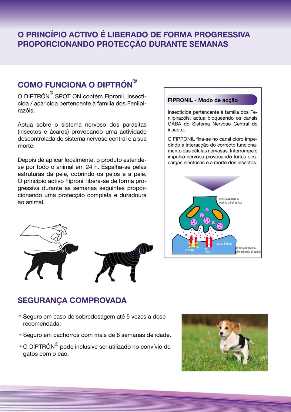 Depois de aplicar localmente, o produto estendese por todo o animal em 24 h. Espalha-se pelas estruturas da pele, cobrindo os pelos e a pele.