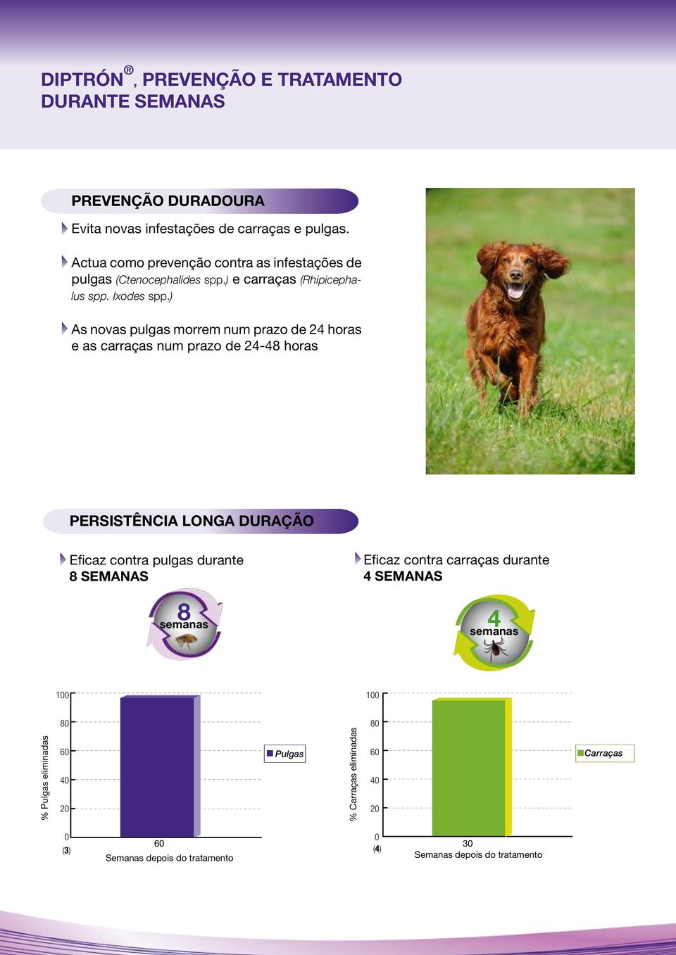 ) As novas pulgas morrem num prazo de 24 horas e as carraças num prazo de 24-48 horas PERSISTÊNCIA LONGA DURAÇÃO Eficaz contra