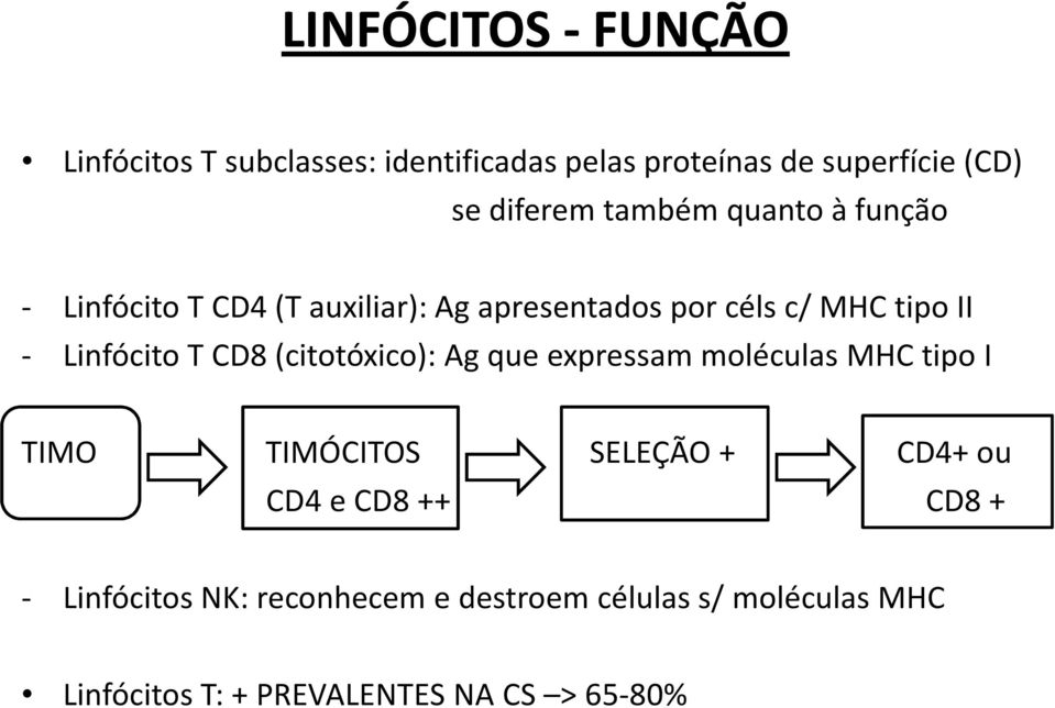 T CD8 (citotóxico): Ag que expressam moléculas MHC tipo I TIMO TIMÓCITOS SELEÇÃO + CD4+ ou CD4 e CD8 ++