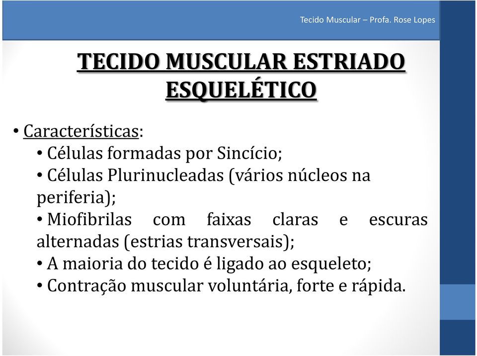 com faixas claras e escuras alternadas (estrias transversais); A maioria do