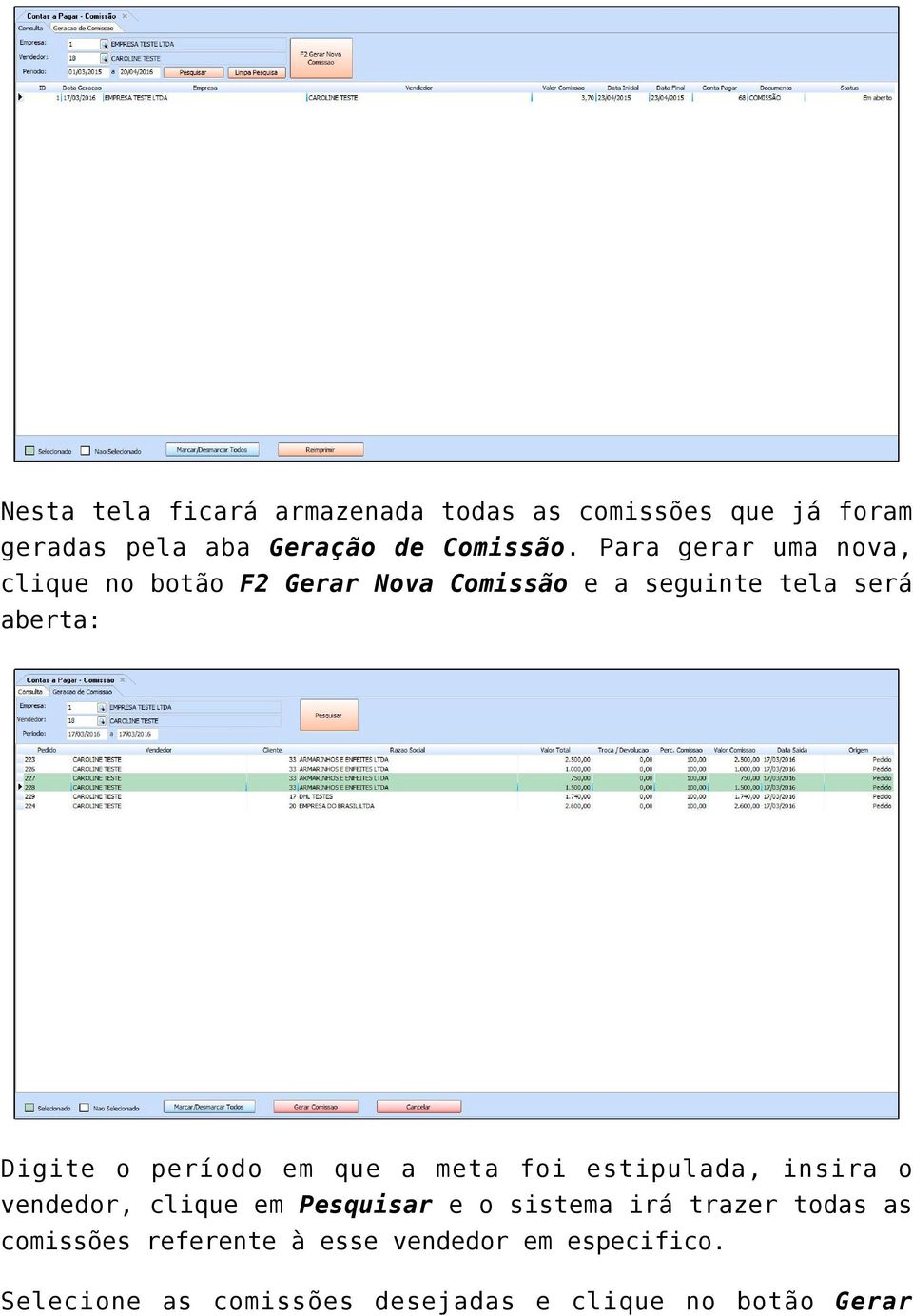 período em que a meta foi estipulada, insira o vendedor, clique em Pesquisar e o sistema irá trazer