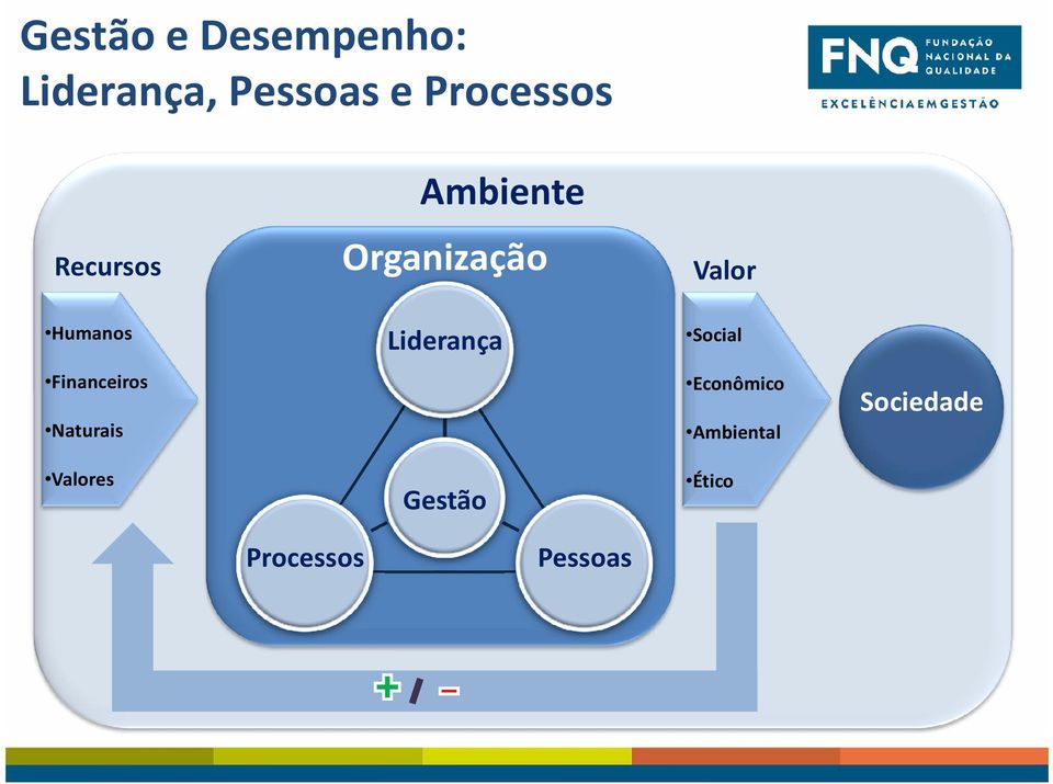 Valores Ambiente Organização Liderança Gestão