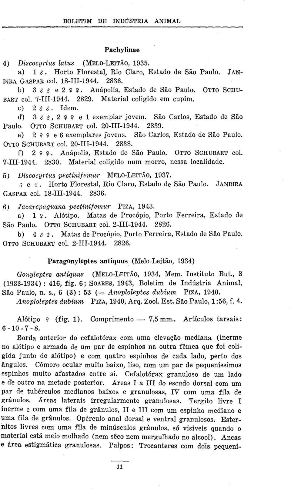 OTTO SCHUBART col. 20-111-1944. 2839. e) 2 Q Q e 6 exemplares jovens. São Carlos, Estado de São Paulo. OTTO SCI-IUBART c01. 20-111-1944. 2838. f) 2 Q O. Anápolis, Estado de São Paulo.