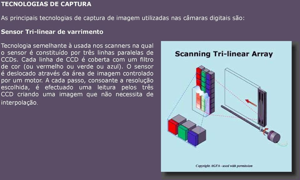 Cada linha de CCD é coberta com um filtro de cor (ou vermelho ou verde ou azul).