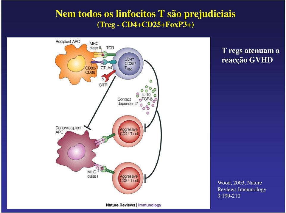 CD4+CD25+FoxP3+) T regs atenuam a