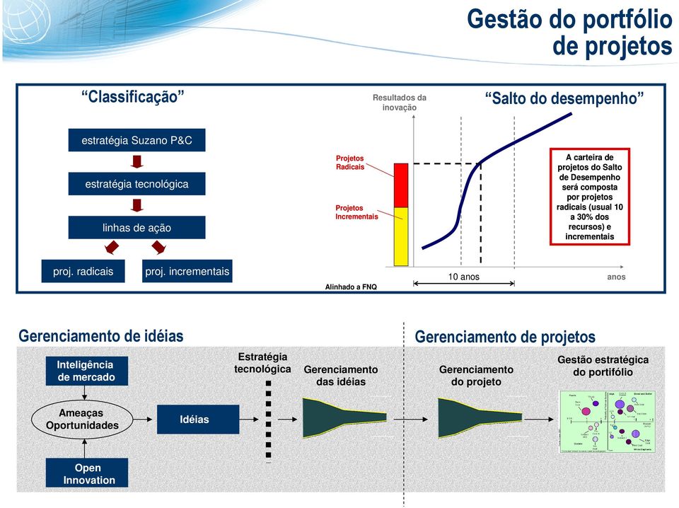 dos recursos) e incrementais proj. radicais proj.