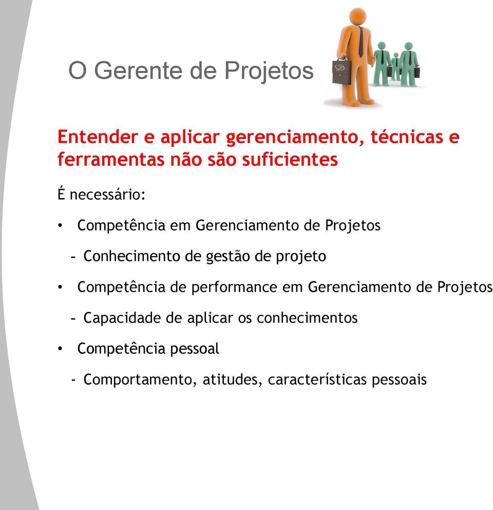 gestão de projeto Competência de performance em Gerenciamento de Projetos - Capacidade de