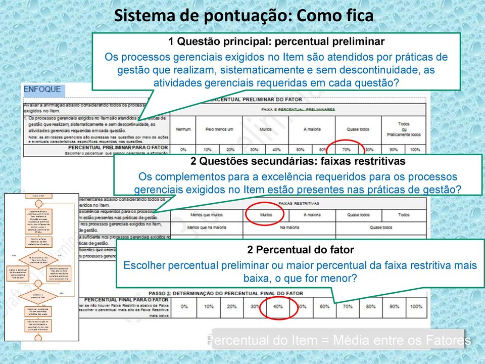 2 Questões secundárias: faixas restritivas Os complementos para a excelência requeridos para os processos gerenciais exigidos no Item estão presentes