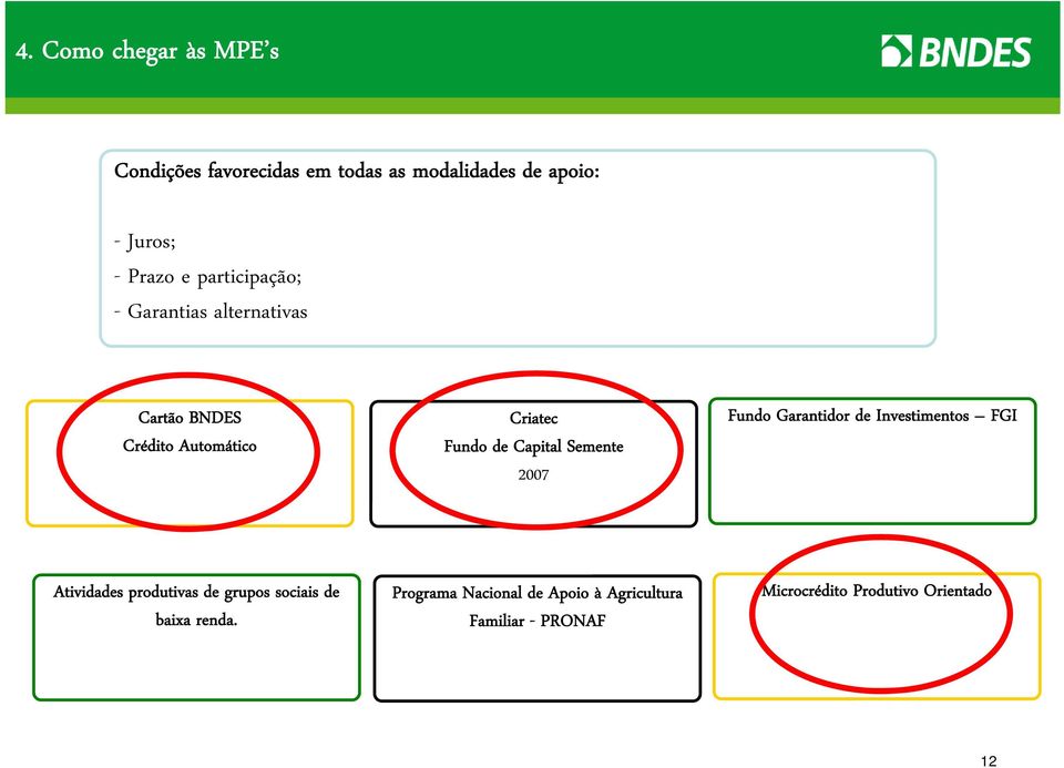 Semente 2007 Fundo Garantidor de Investimentos FGI Atividades produtivas de grupos sociais de