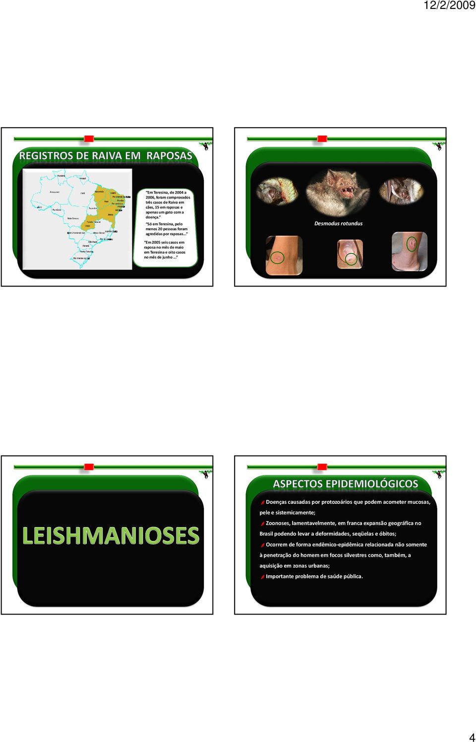 .. Desmodus rotundus Doenças causadas por protozoários que podem acometer mucosas, pele e sistemicamente; Zoonoses, lamentavelmente, em franca expansão geográfica no