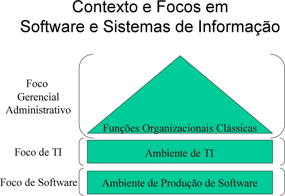 TI Foco de Software Funções Organizacionais