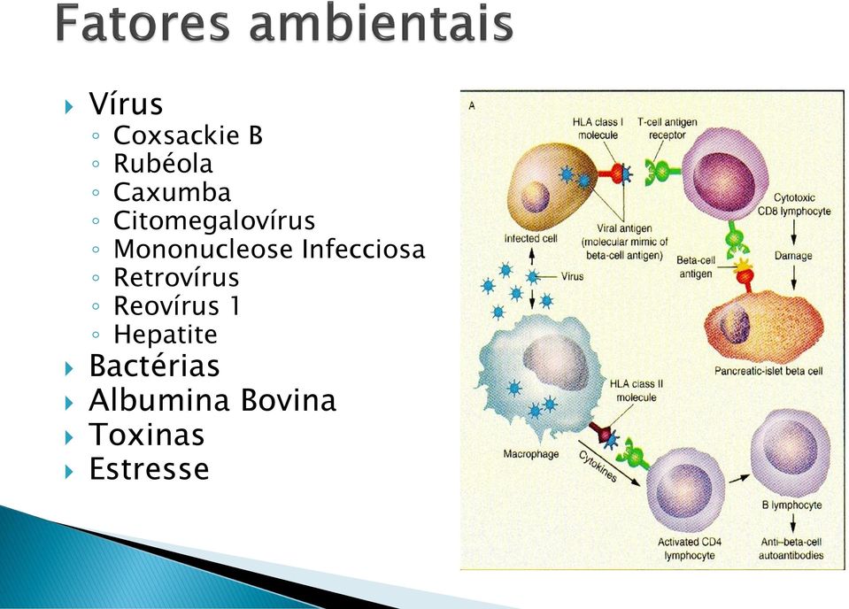 Infecciosa Retrovírus Reovírus 1