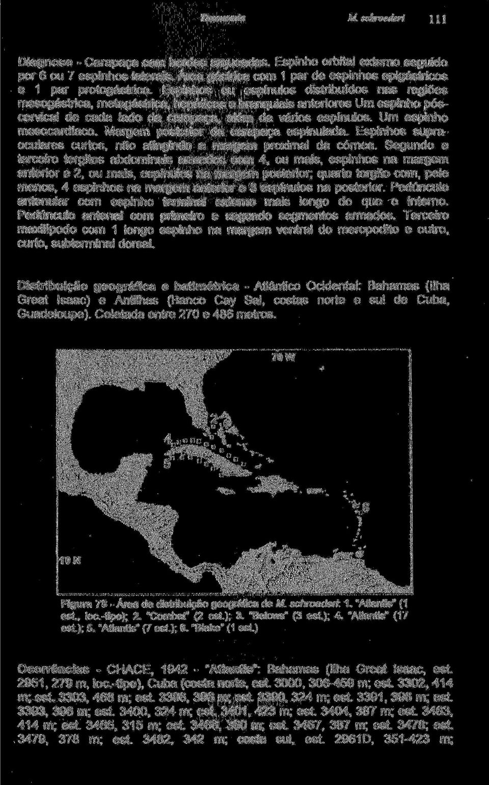 Um espinho mesocardíaco. Margem posterior da carapaça espinulada. Espinhos supraoculares curtos, não atingindo a margem proximal da córnea.