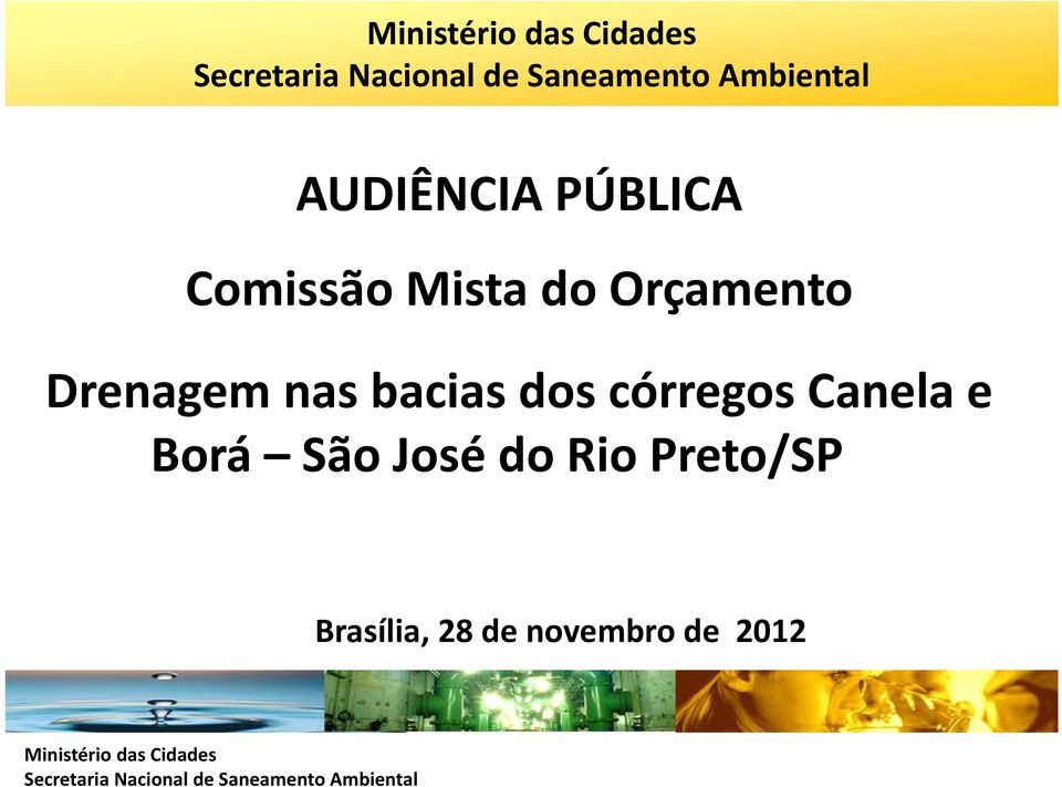 Canela e Borá São José do Rio Preto/SP