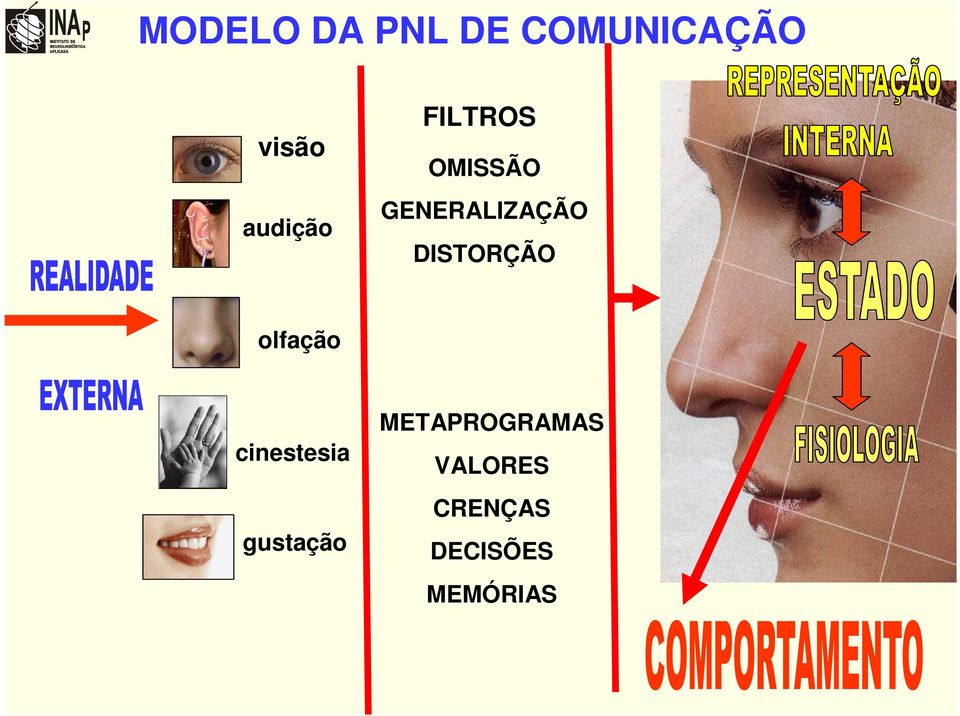 DISTORÇÃO olfação cinestesia gustação