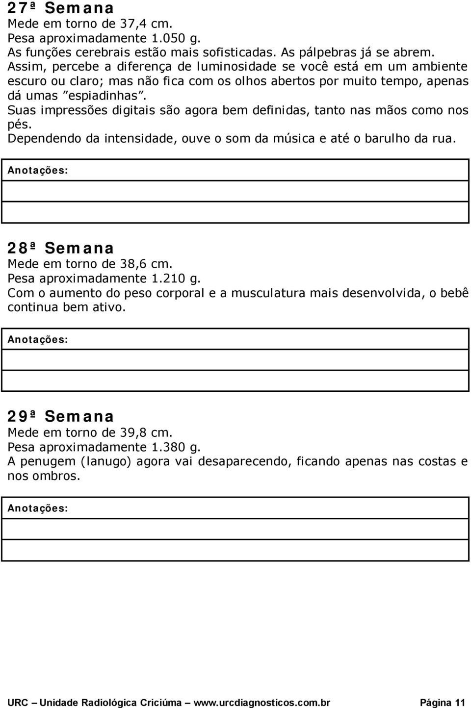 Suas impressões digitais são agora bem definidas, tanto nas mãos como nos pés. Dependendo da intensidade, ouve o som da música e até o barulho da rua. 28ª Semana Mede em torno de 38,6 cm.