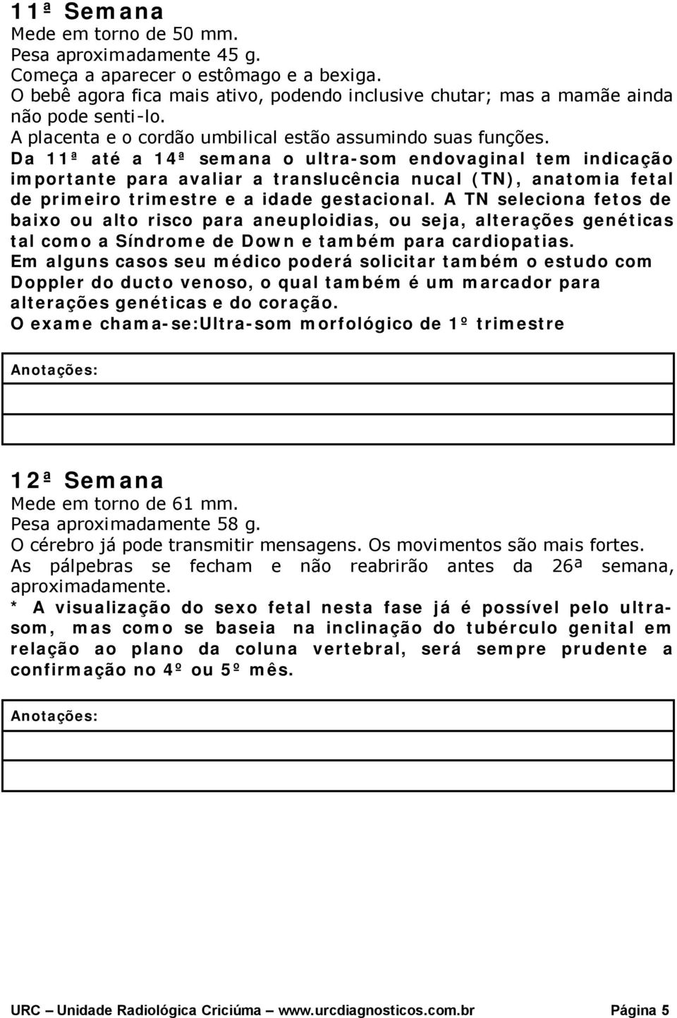 Da 11ª até a 14ª semana o ultra-som endovaginal tem indicação importante para avaliar a translucência nucal (TN), anatomia fetal de primeiro trimestre e a idade gestacional.