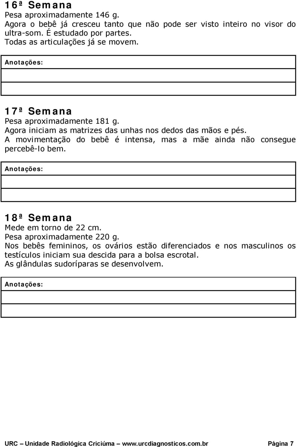 A movimentação do bebê é intensa, mas a mãe ainda não consegue percebê-lo bem. 18ª Semana Mede em torno de 22 cm. Pesa aproximadamente 220 g.