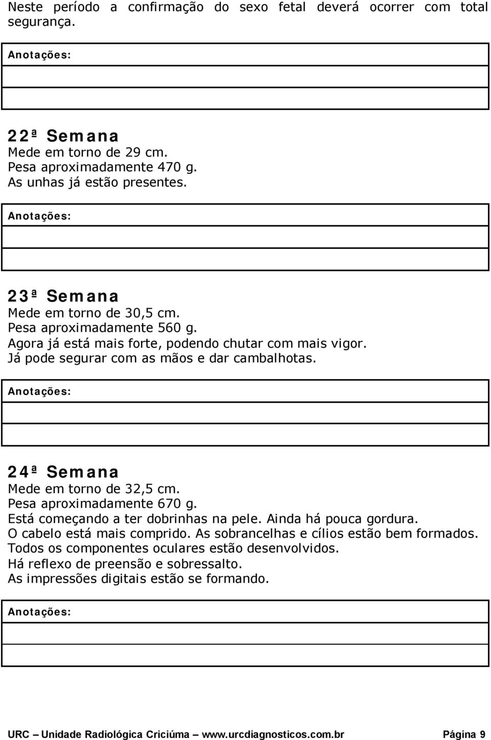 24ª Semana Mede em torno de 32,5 cm. Pesa aproximadamente 670 g. Está começando a ter dobrinhas na pele. Ainda há pouca gordura. O cabelo está mais comprido.