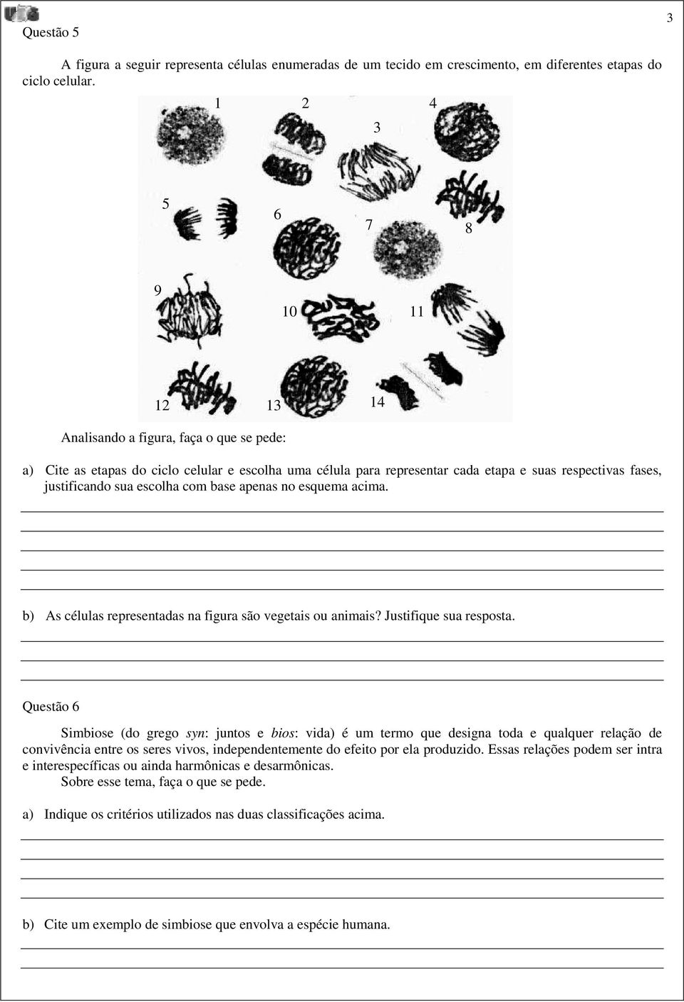 sua escolha com base apenas no esquema acima. b) As células representadas na figura são vegetais ou animais? Justifique sua resposta.