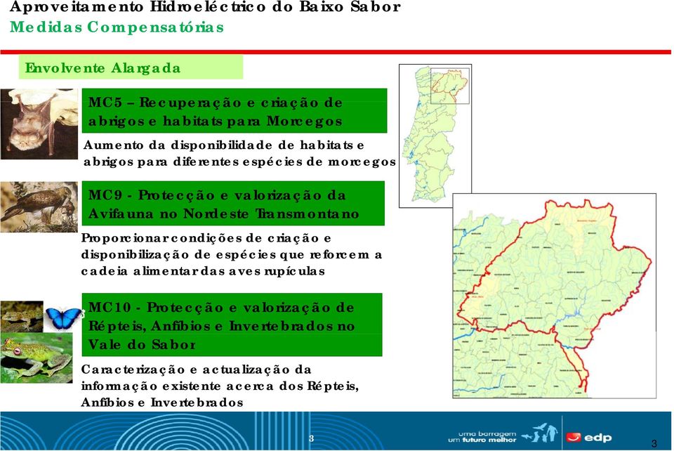 condições de criação e disponibilização de espécies que reforcem a cadeia alimentar das aves rupículas MC10 - Protecção e valorização de