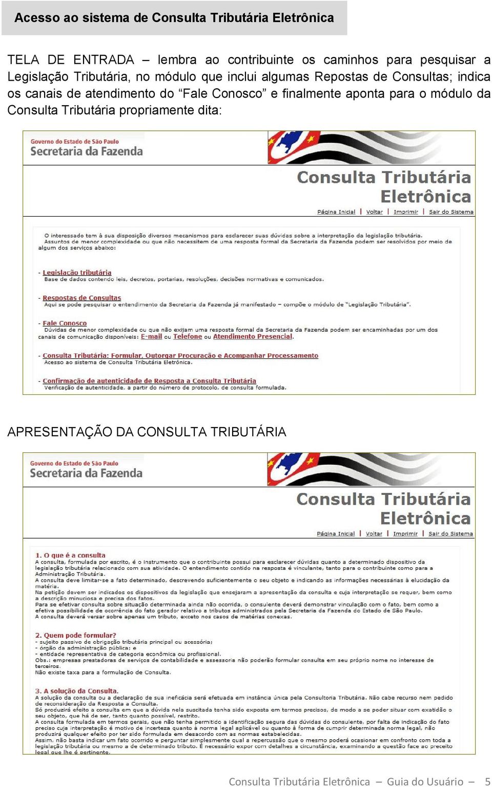 indica os canais de atendimento do Fale Conosco e finalmente aponta para o módulo da Consulta