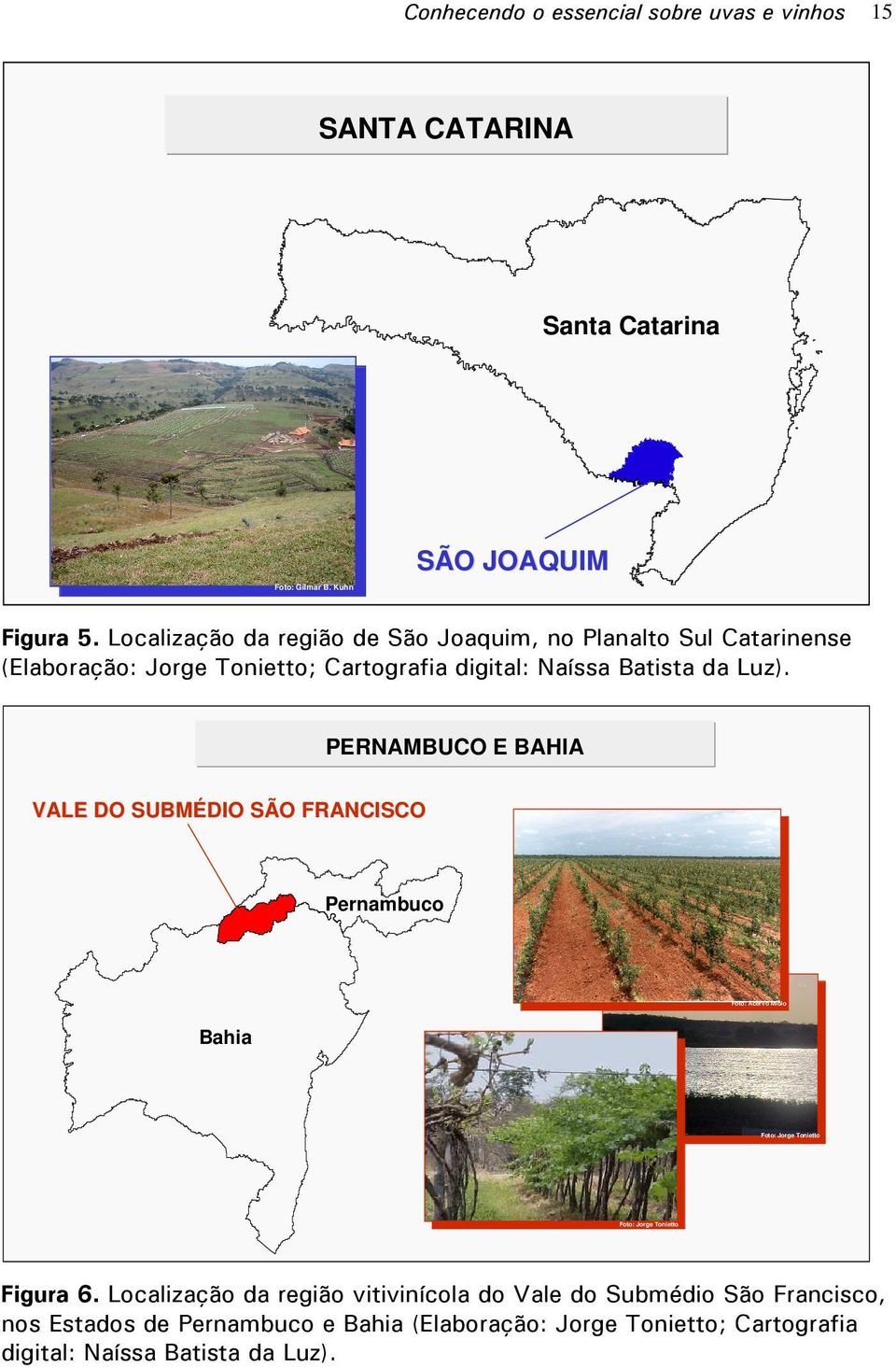 PERNAMBUCO E BAHIA VALE DO SUBMÉDIO SÃO FRANCISCO Pernambuco Foto: Acervo Miolo Bahia Foto: Jorge Tonietto Foto: Jorge Tonietto Figura 6.