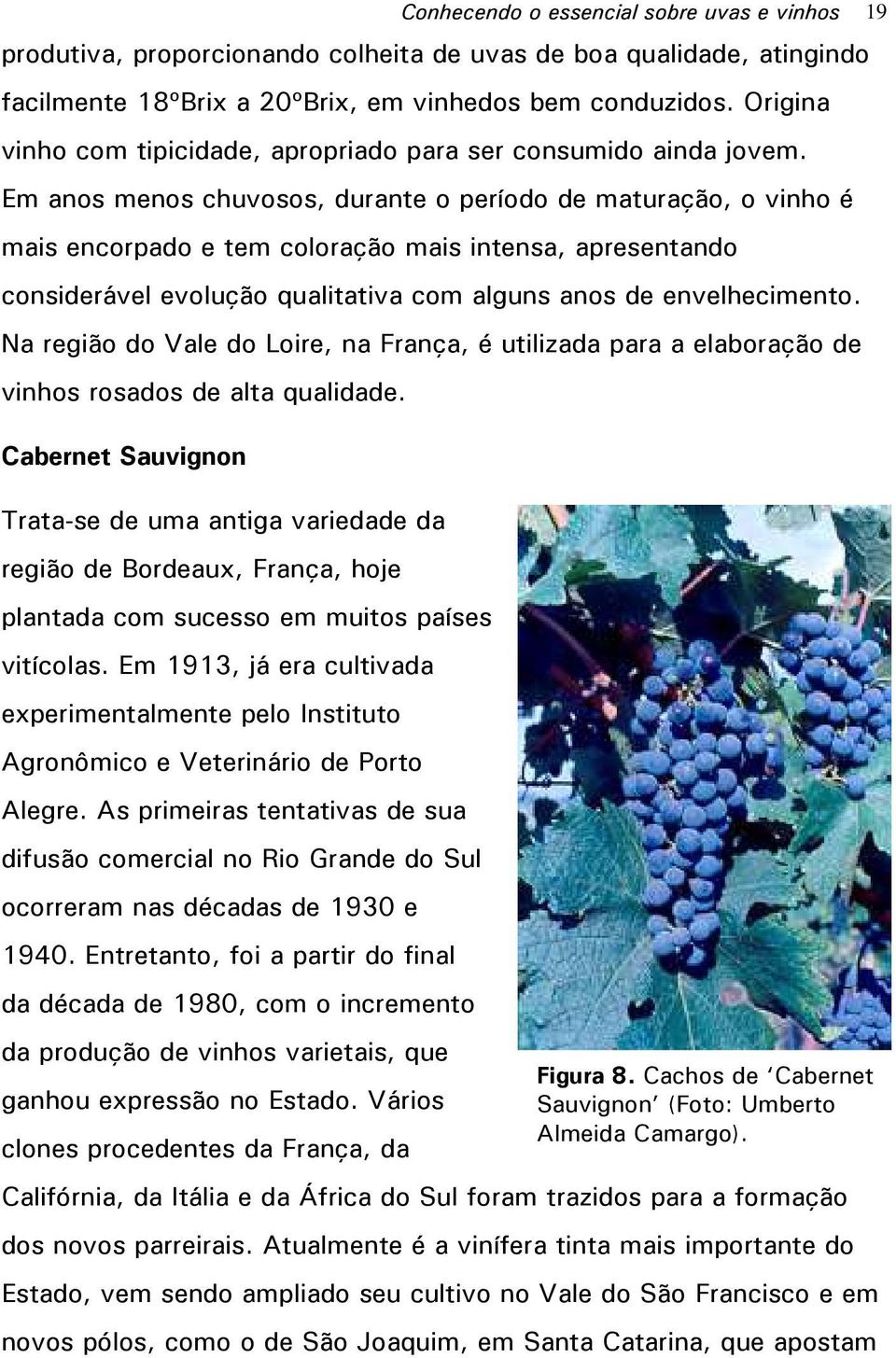 Em anos menos chuvosos, durante o período de maturação, o vinho é mais encorpado e tem coloração mais intensa, apresentando considerável evolução qualitativa com alguns anos de envelhecimento.