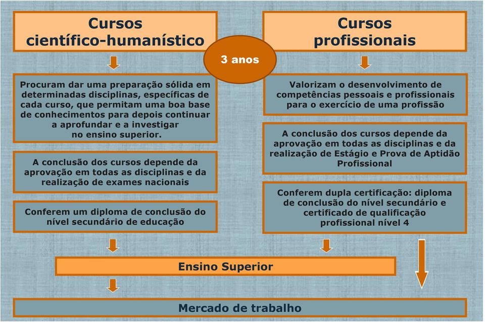 A conclusão dos cursos depende da aprovação em todas as disciplinas e da realização de exames nacionais Conferem um diploma de conclusão do nível secundário de educação Valorizam o desenvolvimento de