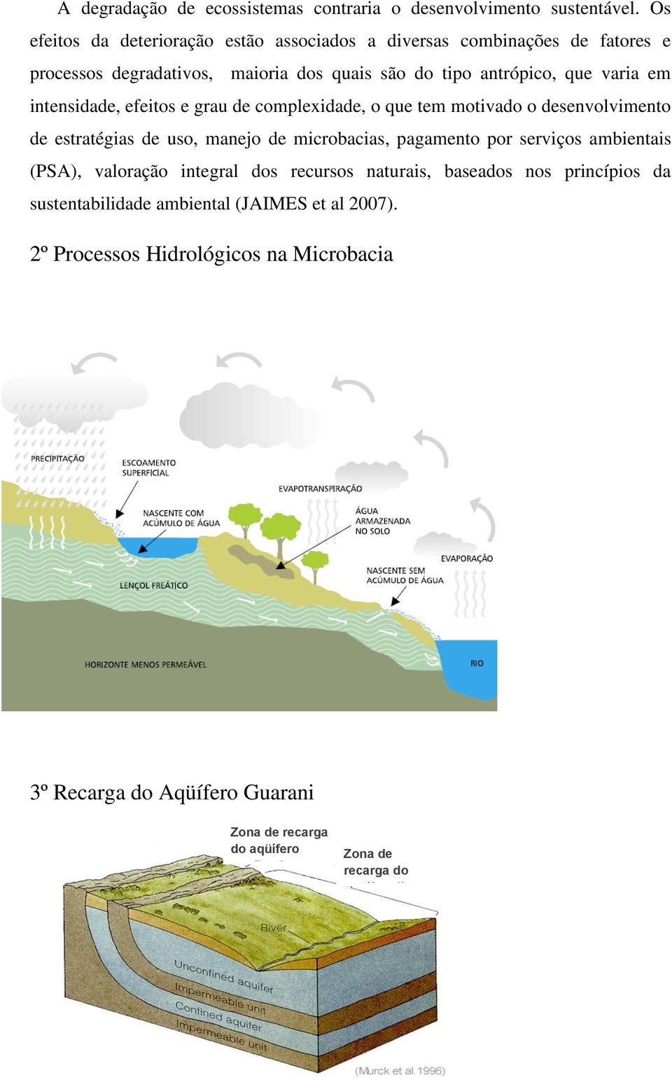 intensidade, efeitos e grau de complexidade, o que tem motivado o desenvolvimento de estratégias de uso, manejo de microbacias, pagamento por serviços ambientais