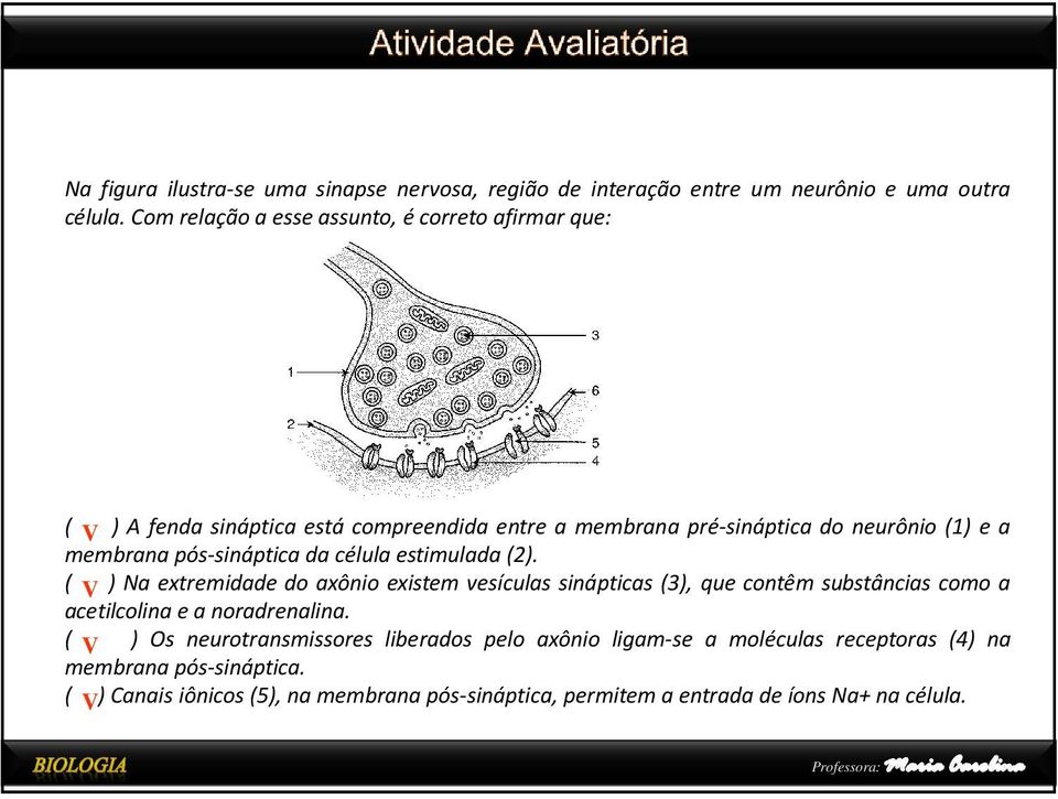 pós-sináptica da célula estimulada(2).