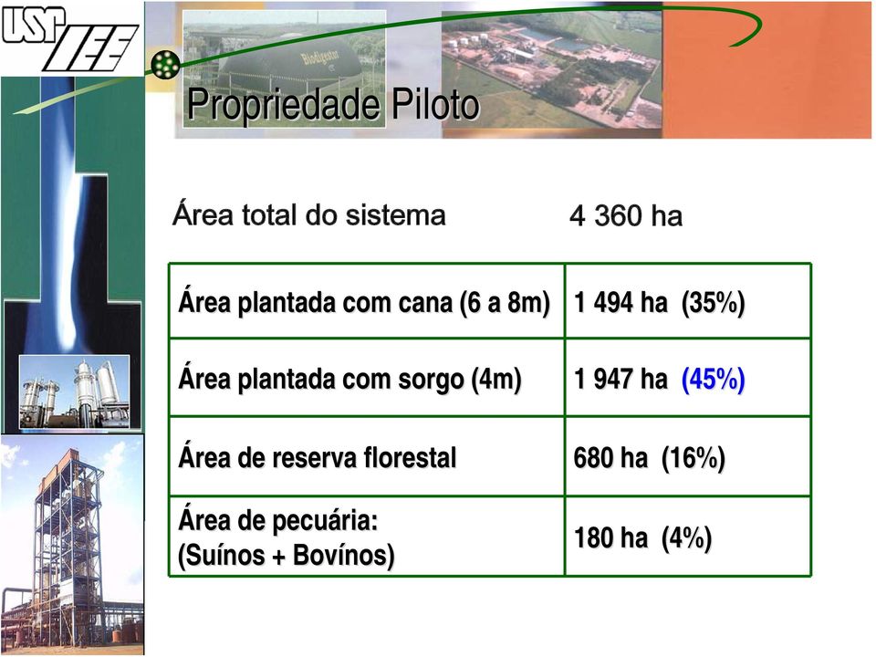 com sorgo (4m) 1 947 ha (45%) Área de reserva florestal