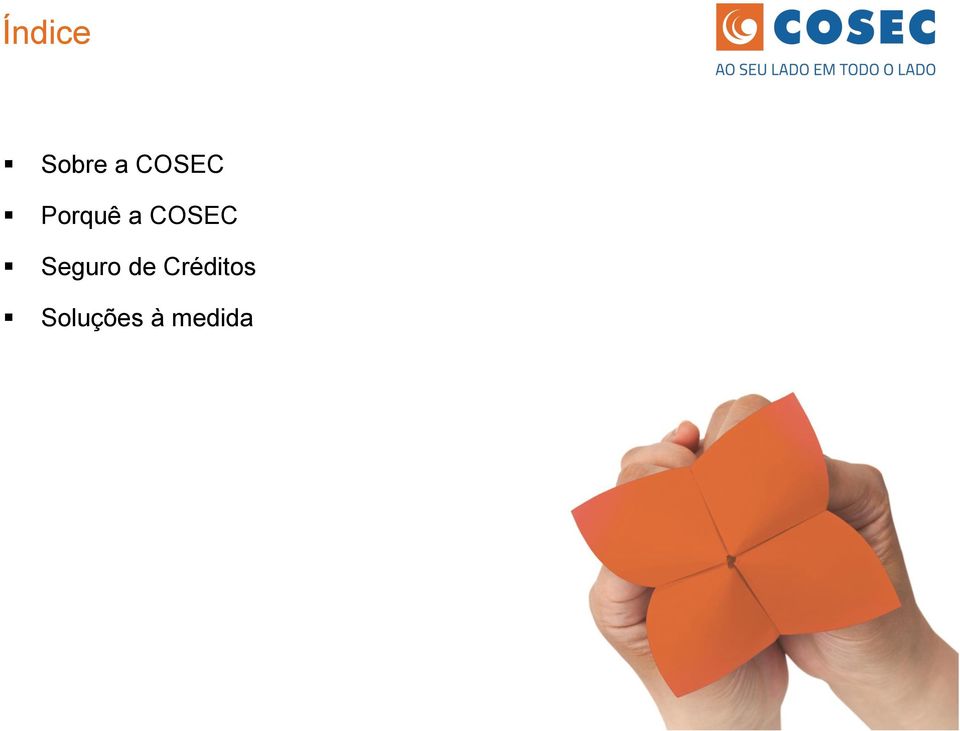 COSEC Seguro de