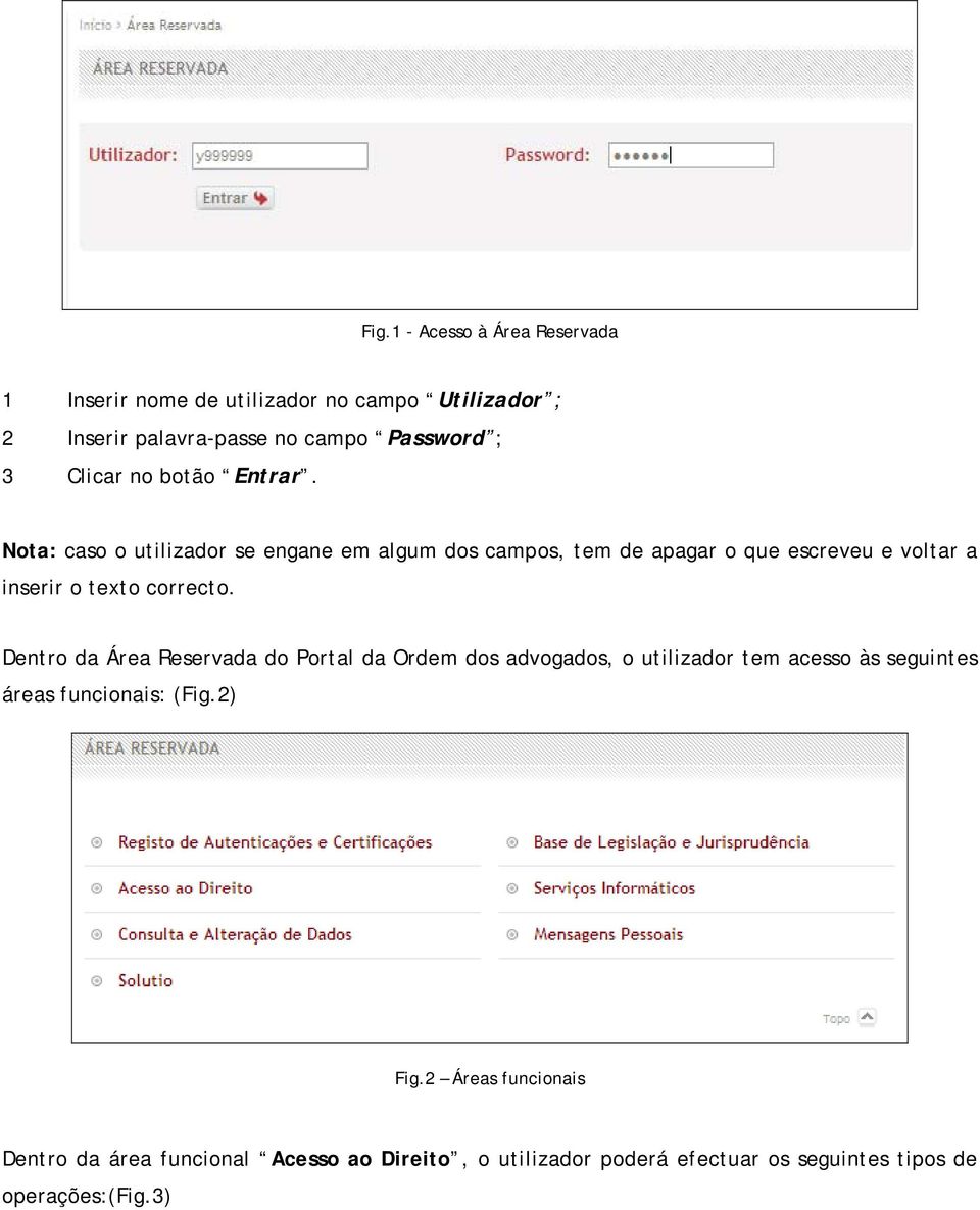 Nota: caso o utilizador se engane em algum dos campos, tem de apagar o que escreveu e voltar a inserir o texto correcto.