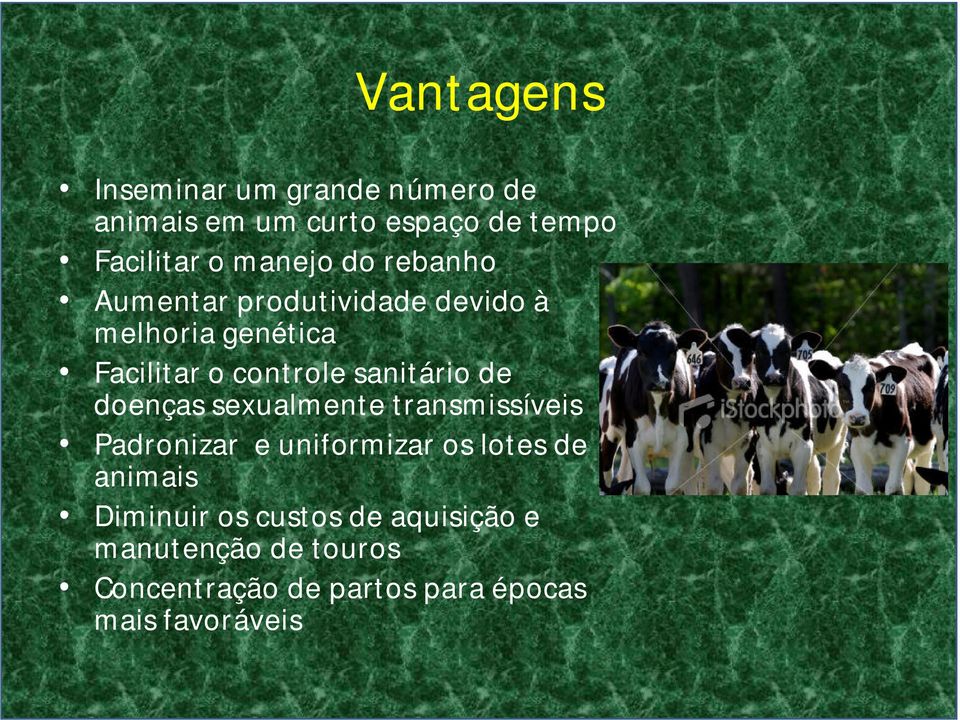 sanitário de doenças sexualmente transmissíveis Padronizar e uniformizar os lotes de animais