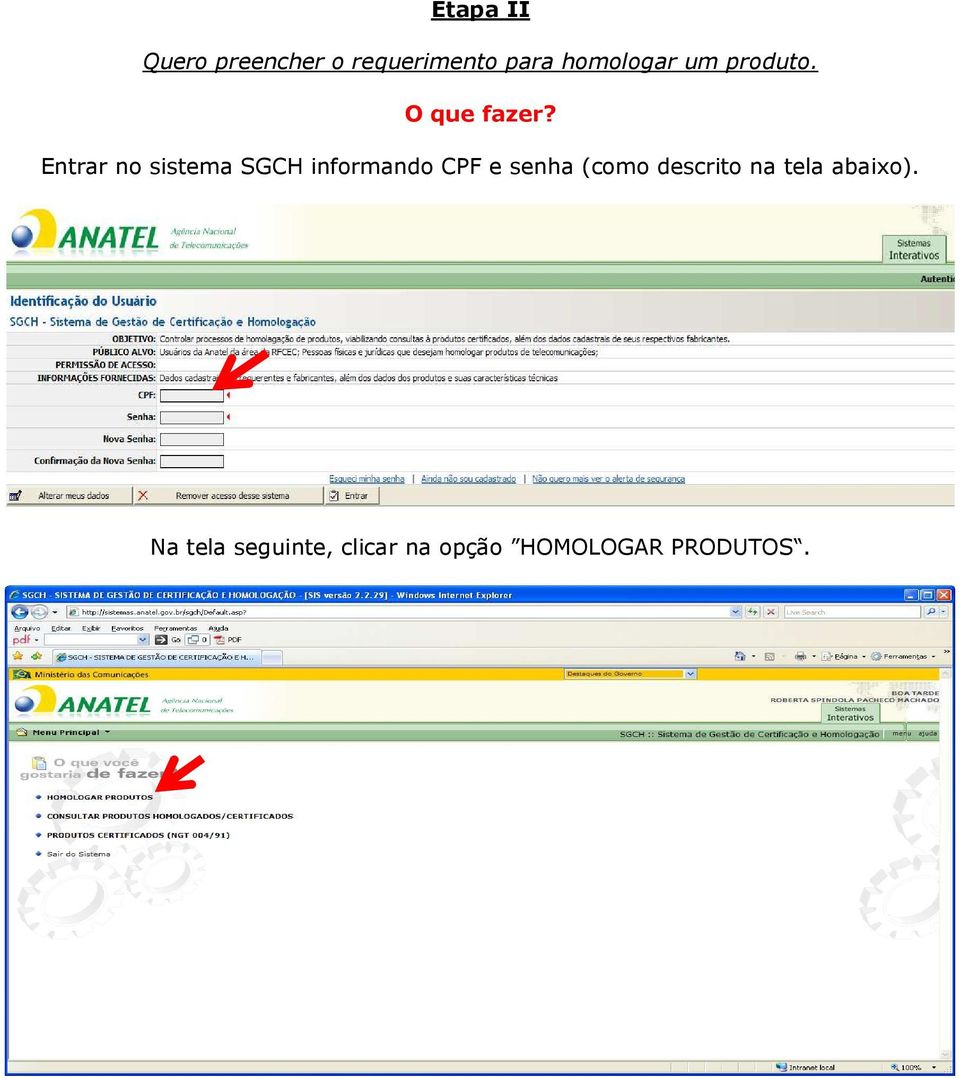 Entrar no sistema SGCH informando CPF e senha (como