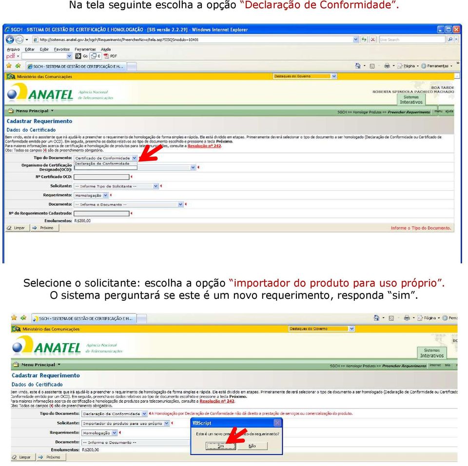 Selecione o solicitante: escolha a opção importador