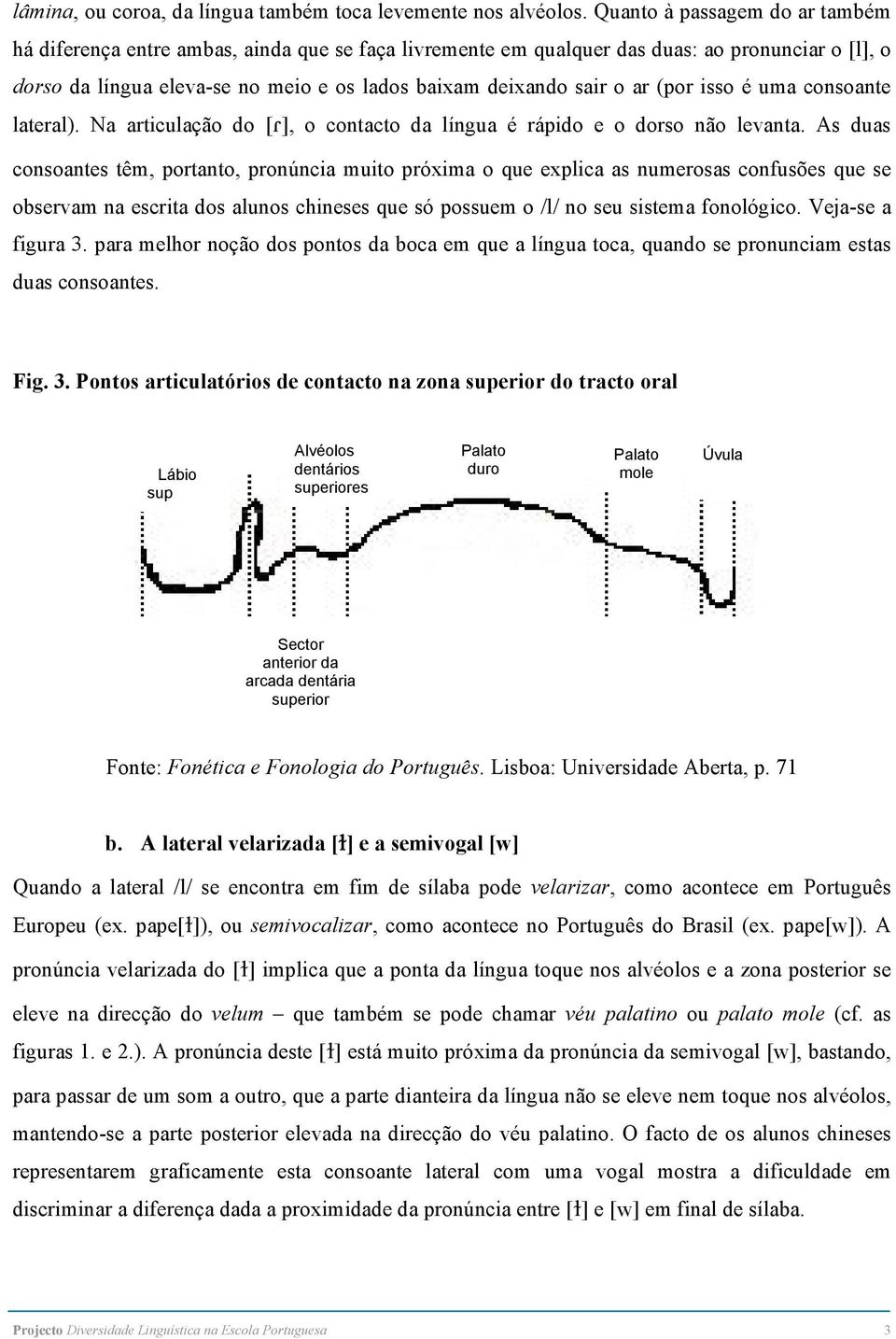 ar (por isso é uma consoante lateral). Na articulação do [R], o contacto da língua é rápido e o dorso não levanta.