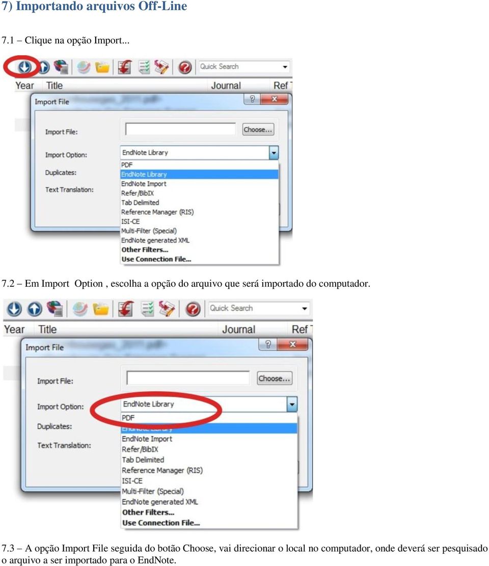 2 Em Import Option, escolha a opção do arquivo que será importado do