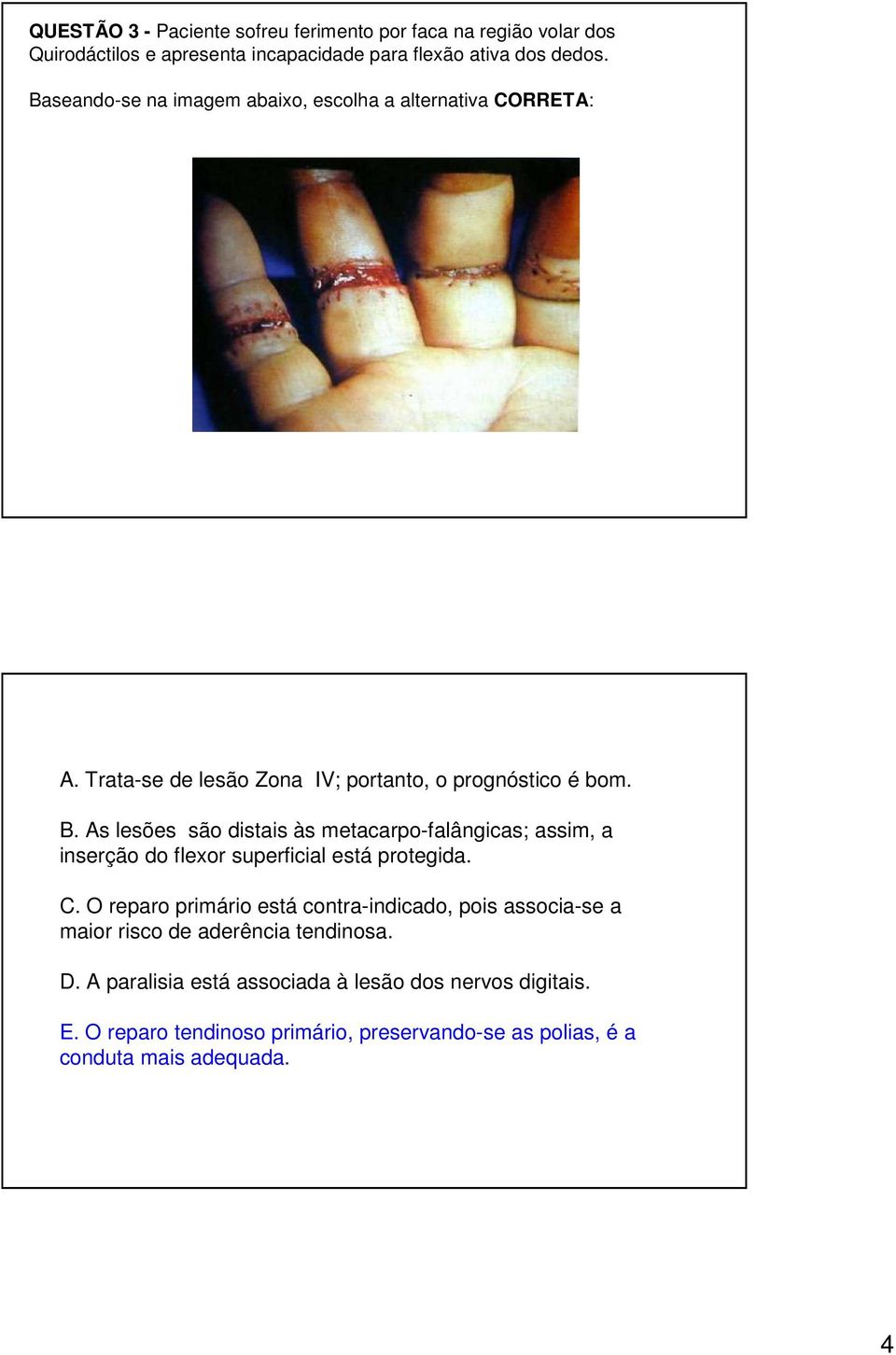 As lesões são distais às metacarpo-falângicas; assim, a inserção do flexor superficial está protegida. C.